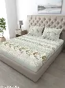 Luxury Cotton Spring glory Bedsheet With 2 Pillow Covers 